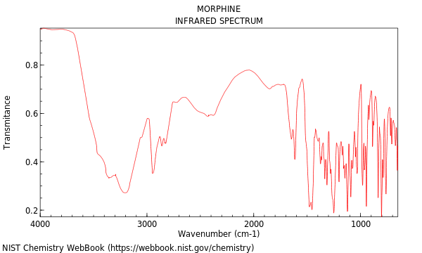 IR spectrum