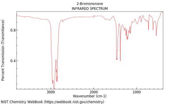 IR spectrum