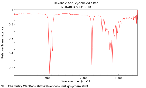 IR spectrum