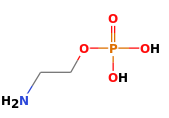 C2H8NO4P