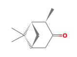 C10H16O