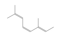 C10H16