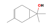 C10H16O