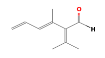 C10H14O