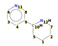 Image with canonical numbers derived from InChI string