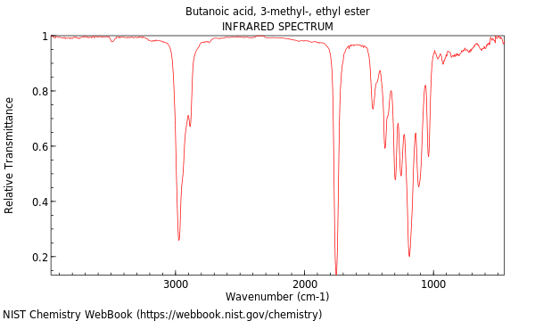 IR spectrum