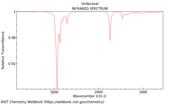 IR spectrum