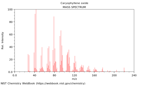 Mass spectrum