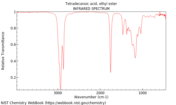 IR spectrum