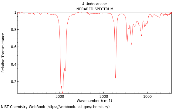 IR spectrum