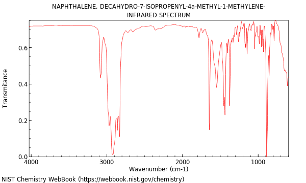 IR spectrum