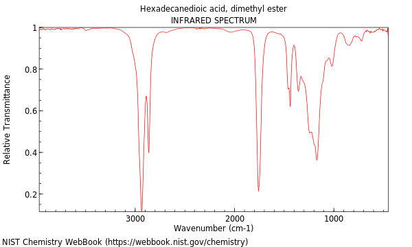 IR spectrum