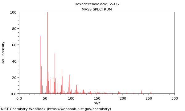 Mass spectrum