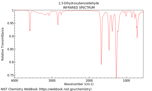 IR spectrum