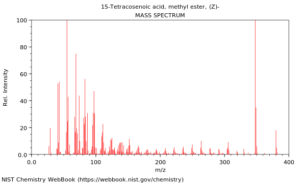 Mass spectrum