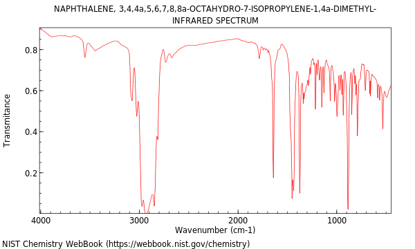 IR spectrum