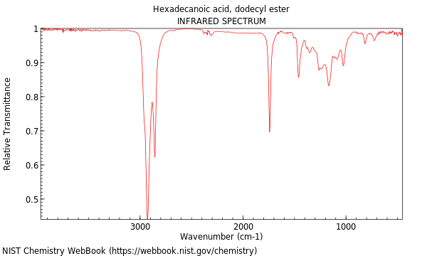 IR spectrum