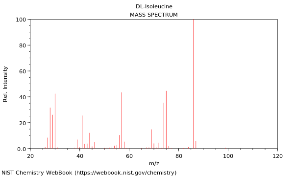 Mass spectrum