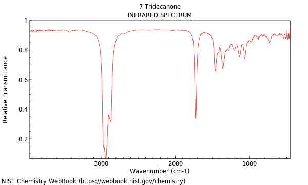 IR spectrum