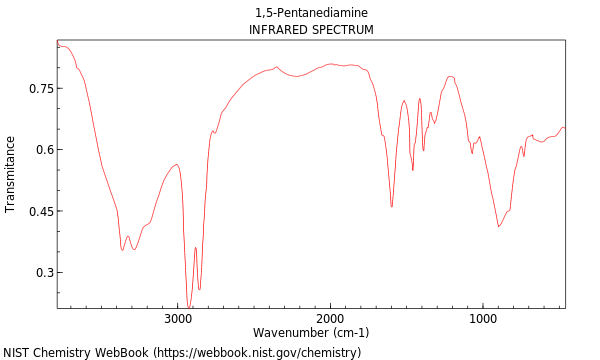 IR spectrum