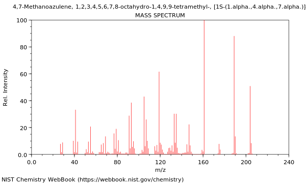 Mass spectrum