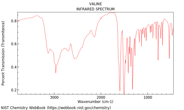 IR spectrum