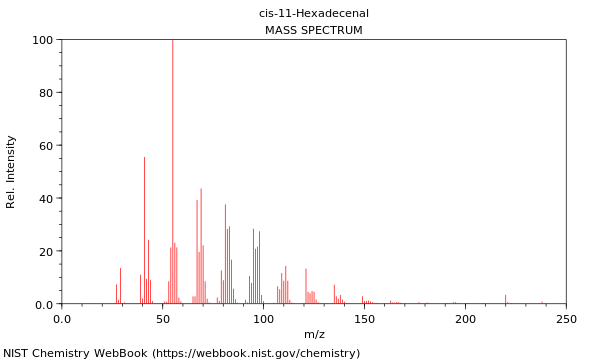 Mass spectrum