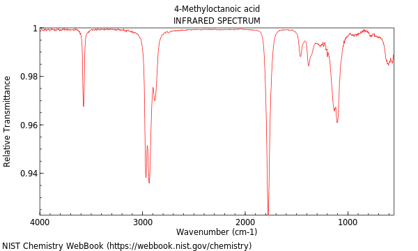 IR spectrum