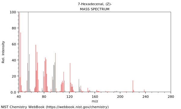 Mass spectrum