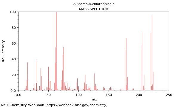 Mass spectrum