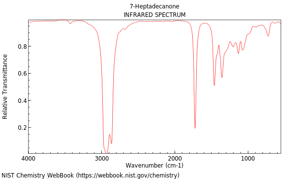 IR spectrum