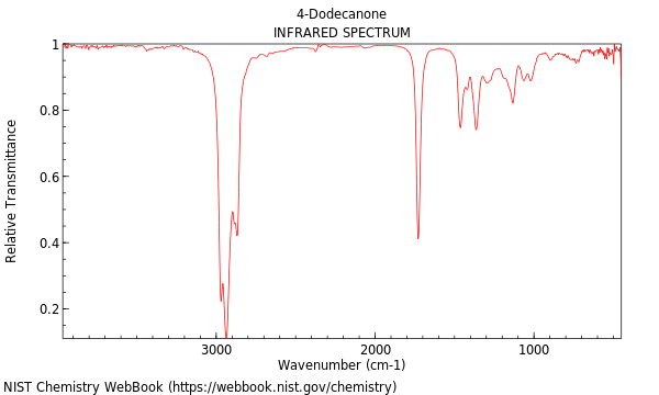 IR spectrum