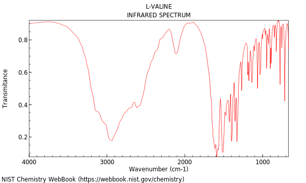 IR spectrum