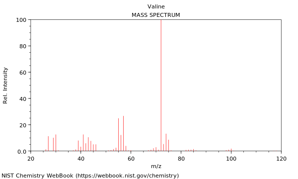 Mass spectrum