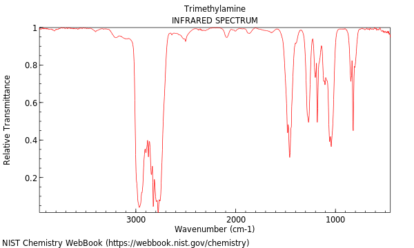 IR spectrum