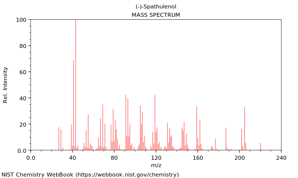 Mass spectrum