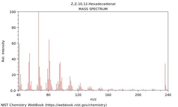 Mass spectrum