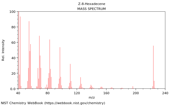 Mass spectrum