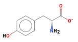 C9H10NO3-