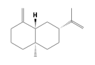 C15H24