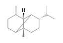 C15H24