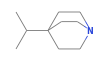 C10H19N