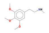 C12H19NO3