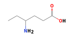 C6H13NO2