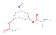 C16H25NO4