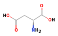 C4H7NO4