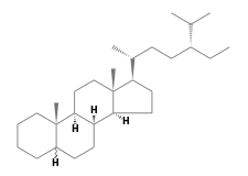 C29H52