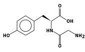 Glycyl-L-tyrosine