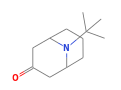 C12H21NO