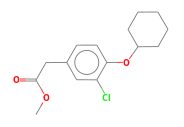 C15H19ClO3
